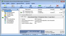 Portable Download Manager